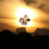 “The Lion King Photo” according to a Dutch guy on our tour.