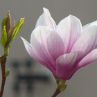 P1030432.JPG