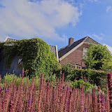 DSC00037.JPG