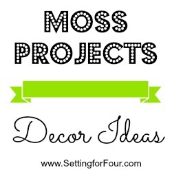 [Moss-Projects---Decor-Ideas-from-Set%255B5%255D.jpg]