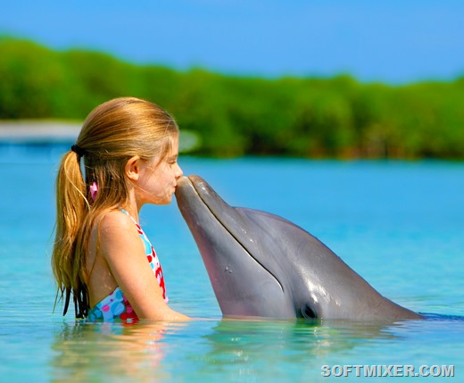 [People_Entertainment_and_recreation_Girl_and_Dolphin_035480_%255B10%255D.jpg]