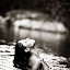 by Anderson Miranda - Nudes & Boudoir Artistic Nude