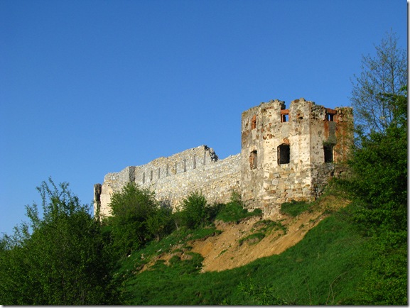Пнівський замок
