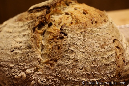 [sourdough-seed-bread_1710%255B6%255D.jpg]