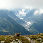 La Mer de Glace