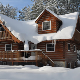 L shaped Ecolog home