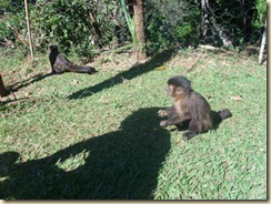 IMG_0422 IMG_0422
