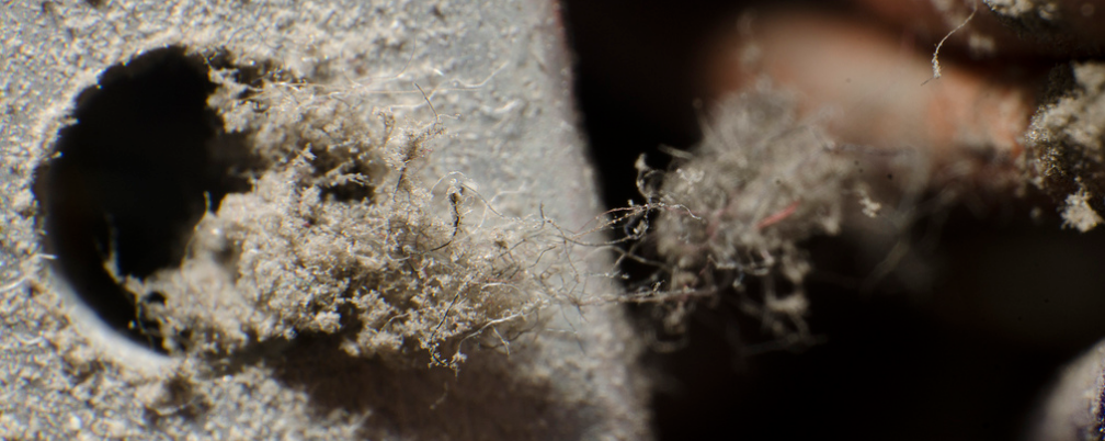 [image%255B4%255D.png]