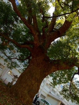 IMG_7659.jpg IMG 7659
