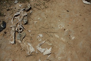 IMG_6543 IMG_6543