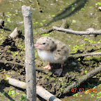 DSCN9528.JPG