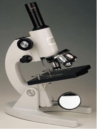 mikroskopcahaya 1