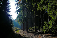 P1090662.JPG