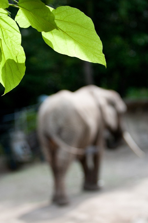 [20120818-IMG_88153.jpg]