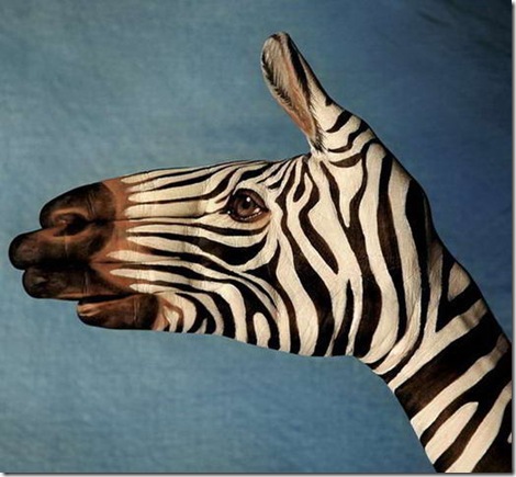 guido-daniele20%5B2%5D guido-daniele20%5B2%5D