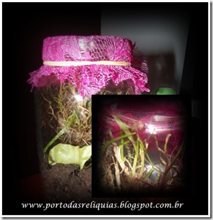 vidros-reciclagem-terrario,jardim