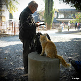 incantava anche gli animali!