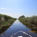 IMG_5717.JPG