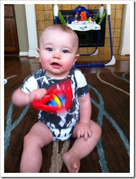 IMG_0620 IMG_0620