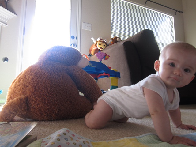 [IMG_43852.jpg]