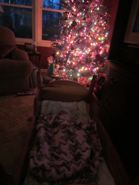 [Zoey%2520in%2520front%2520of%2520Christmas%2520Tree2%255B9%255D.jpg]