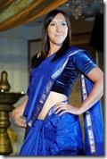 Jelena Jankovich in traditional Indian sari