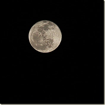IMG_2388 IMG_2388