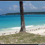 IMG_8768.JPG