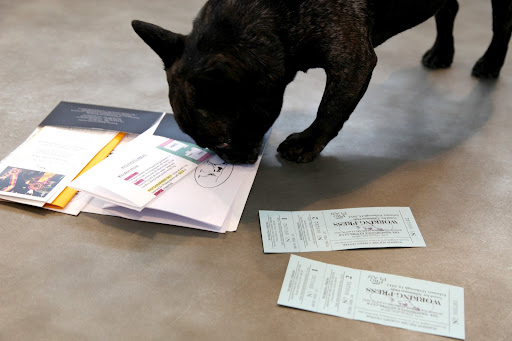 You're not going to believe what's in here!