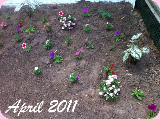 [Garden%2520-%2520altered%255B6%255D.jpg]