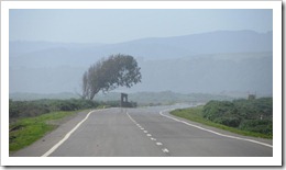 IMG_3299 IMG_3299