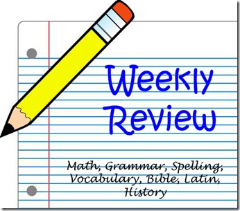 weekly review graphic 2