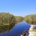 IMG_5724.JPG