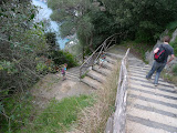 The endless steps wind and turn.