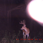 ICAM0011.JPG