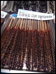 China, Beijing, Night Market,  Centipede Large, 18 July 2012 (1)