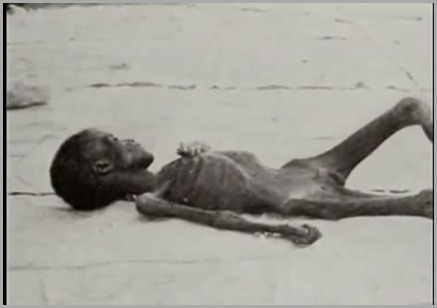 criana morta de fome na ndia criana morta de fome na ndia