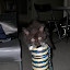 DSCN7908.jpg DSCN7908.jpg