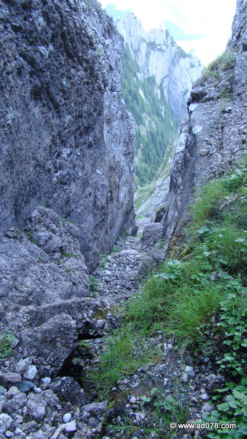 54.jpg 54.jpg