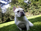 Winnie: 
