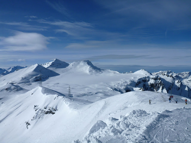 P1000817.JPG