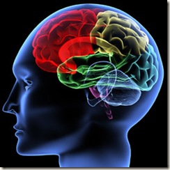 Neuromarketing 02 Neuromarketing 02