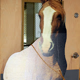 DSC_0335.JPG