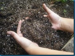 hands in soil - touch
