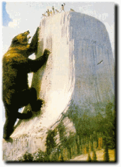This is a bear climbing Devil's Tower. I guess I didn't know bear tails were that long.