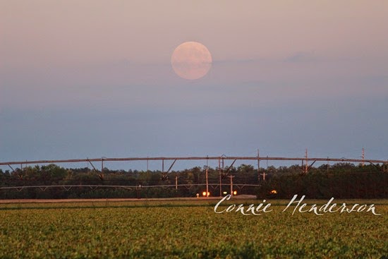 Supermoon one (2) September 8