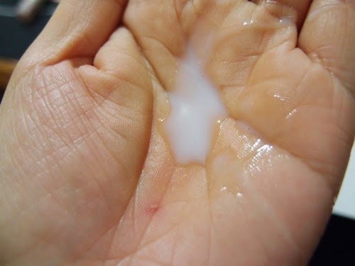 [Domohorn-22%255B3%255D.jpg]