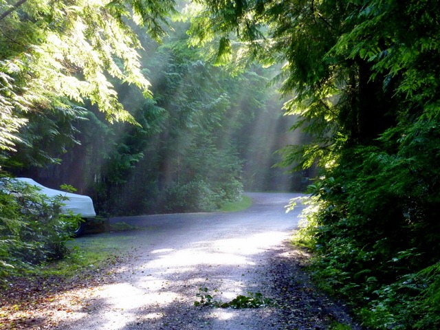 [P1020119-14.jpg]