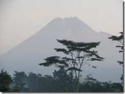 IMG_0537 IMG_0537