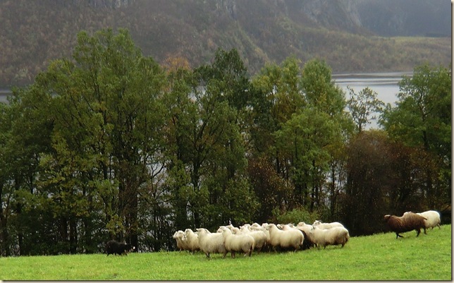oktober 2011 012